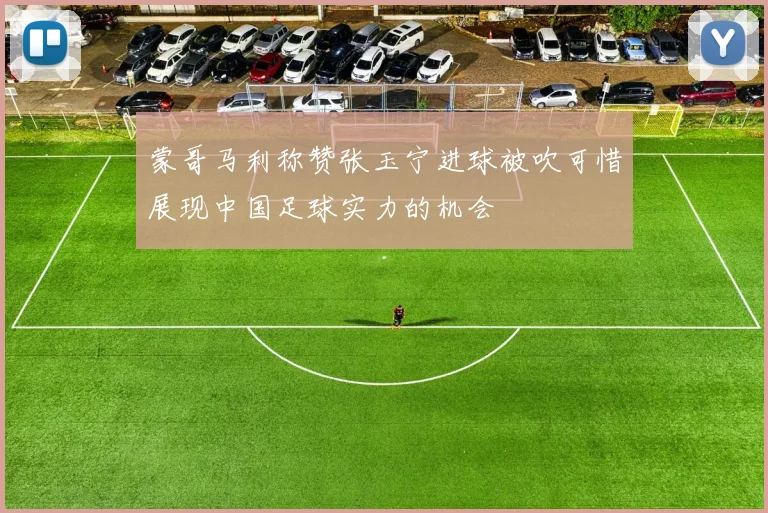 蒙哥马利称赞张玉宁进球被吹可惜展现中国足球实力的机会