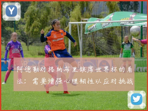 阿德勒对格纳布里缺席世界杯的看法：需要增强心理韧性以应对挑战