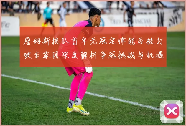 詹姆斯换队首年无冠定律能否被打破专家团深度解析争冠挑战与机遇